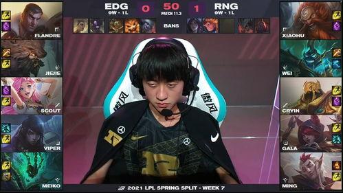 巴西大佬爆料视频大全,揭秘幕后真相与惊人内幕